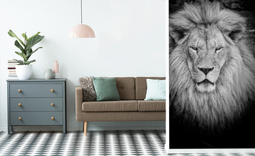 Visualisierung des Produkts