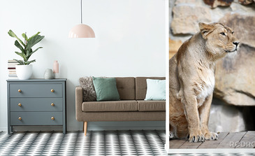 Visualisierung des Produkts