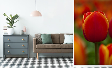 Visualisierung des Produkts