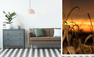 Visualisierung des Produkts