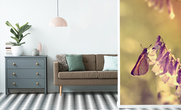 Visualisierung des Produkts