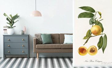 Visualisierung des Produkts