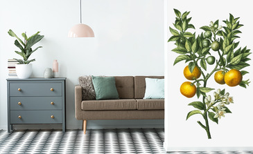 Visualisierung des Produkts