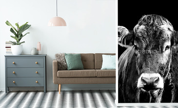 Visualisierung des Produkts