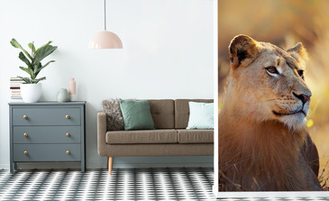 Visualisierung des Produkts