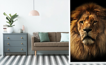 Visualisierung des Produkts