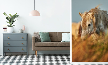 Visualisierung des Produkts