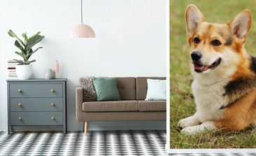 Visualisierung des Produkts