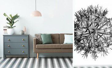 Visualisierung des Produkts