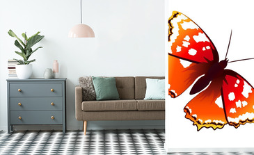 Visualisierung des Produkts