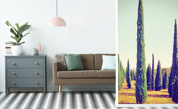 Visualisierung des Produkts