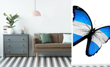 Visualisierung des Produkts