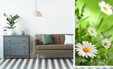 Visualisierung des Produkts