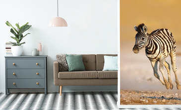 Visualisierung des Produkts