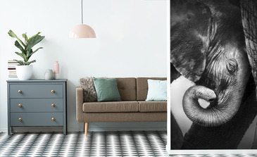 Visualisierung des Produkts