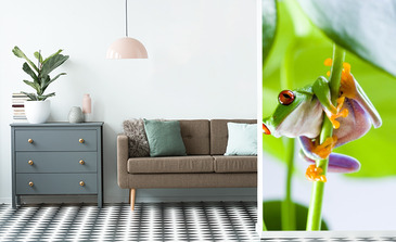 Visualisierung des Produkts