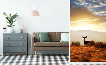 Visualisierung des Produkts