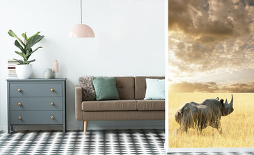 Visualisierung des Produkts