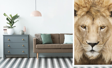 Visualisierung des Produkts