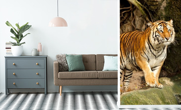 Visualisierung des Produkts