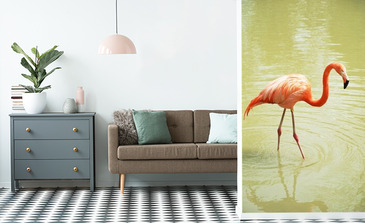 Visualisierung des Produkts