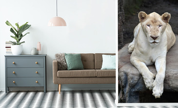 Visualisierung des Produkts