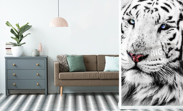 Visualisierung des Produkts