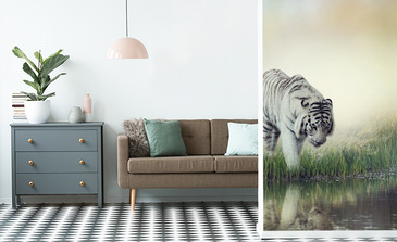 Visualisierung des Produkts