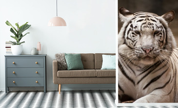 Visualisierung des Produkts