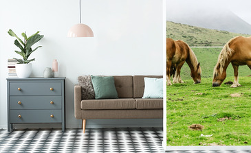 Visualisierung des Produkts