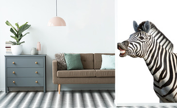 Visualisierung des Produkts