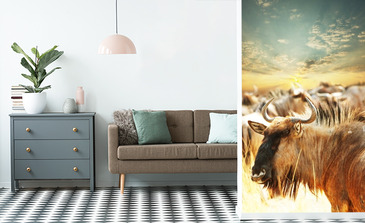 Visualisierung des Produkts