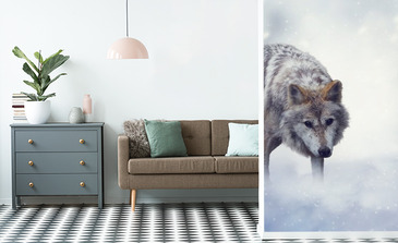 Visualisierung des Produkts