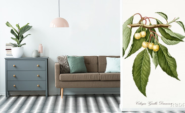 Visualisierung des Produkts