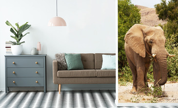 Visualisierung des Produkts