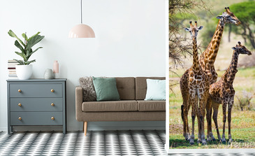 Visualisierung des Produkts