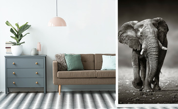 Visualisierung des Produkts