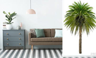 Visualisierung des Produkts