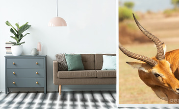 Visualisierung des Produkts