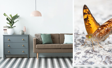 Visualisierung des Produkts