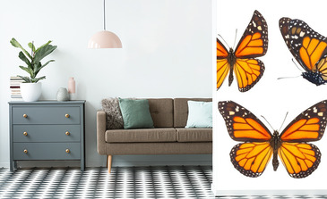 Visualisierung des Produkts