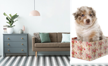 Visualisierung des Produkts