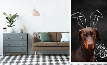 Visualisierung des Produkts