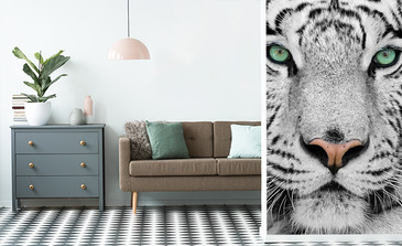 Visualisierung des Produkts