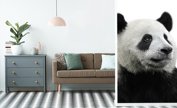 Visualisierung des Produkts