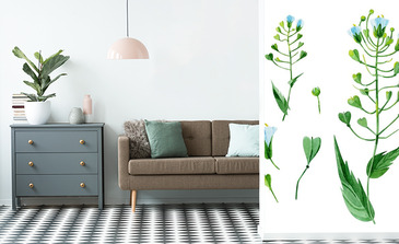 Visualisierung des Produkts