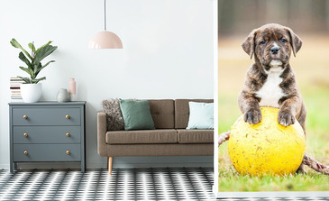 Visualisierung des Produkts