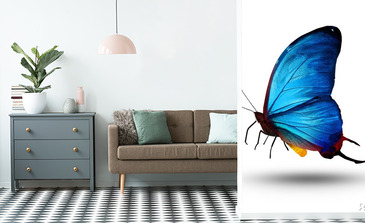 Visualisierung des Produkts