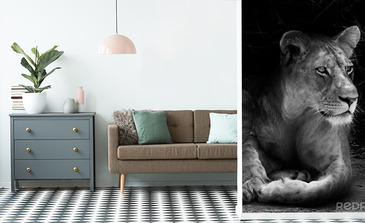 Visualisierung des Produkts