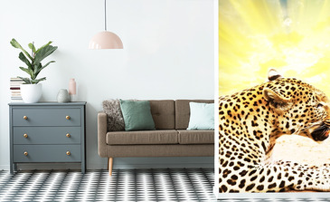 Visualisierung des Produkts